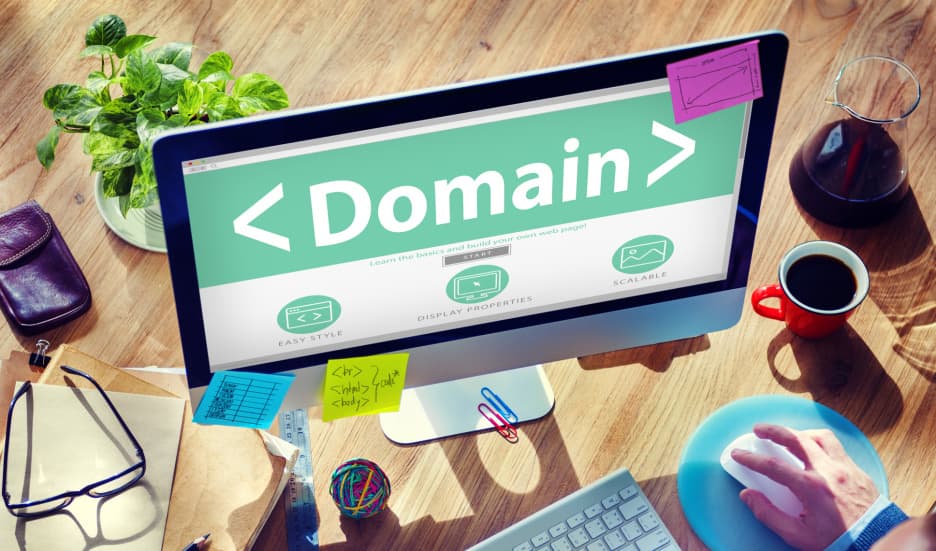 Kto jest właścicielem domeny?