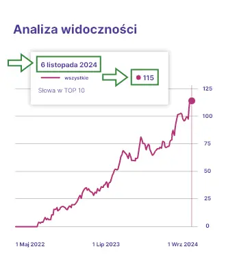 Analiza widoczności