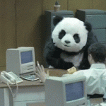 Kolejna aktualizacja algorytmu – Panda ponownie wchodzi do gry