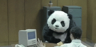 aktualizacja panda szeleje w serpach