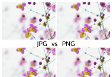 Który format jest lepszy: PNG czy JPG? Ktory_format_jest_lepszy_PNG_czy_JPG