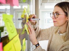 soft marketing co to jest