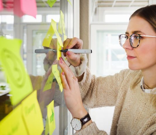 soft marketing co to jest